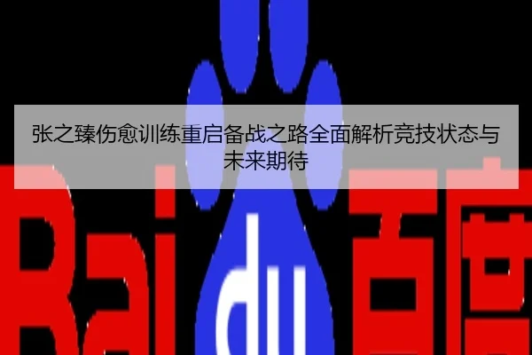 张之臻伤愈训练重启备战之路全面解析竞技状态与未来期待