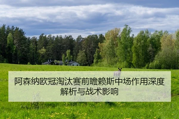 阿森纳欧冠淘汰赛前瞻赖斯中场作用深度解析与战术影响