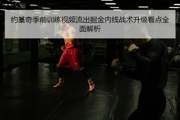 约基奇季前训练视频流出掘金内线战术升级看点全面解析